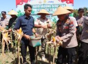 Polres Pamekasan Gelar Panen Raya Jagung Serentak Kuartal II, Dukung Swasembada Pangan Tahun 2025