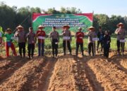 Penanaman Jagung Serentak Kuartal III, Inilah Bentuk Kontribusi Nyata Polres Pamekasan