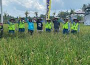 Desa Teluk Pandan Jadi Percontohan, Sukses Integrasi Program Bupati Kutim Di Sektor Pertanian