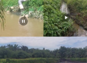Dokumen B3 Kadaluarsa, PT LTS Sigambal Buang Limbah Ke Sungai dan Tambah IPAL Refenery Tanpa Izin