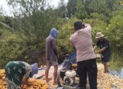 Poktan Sikamase Desa Saluahok Berhasil Panen 2 Ton Jagung, Siap Dukung Pasokan ke Bulog