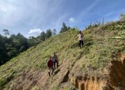 Bhabinkamtibmas Polsek Mambi Monitoring Lahan Jagung di Desa Bambang Buda