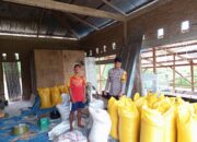 Bhabinkamtibmas Polsek Mamasa Intensifkan Sambang dan Monitoring Swasembada Pangan di Tabulahan