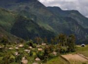 Pemerintah Prioritaskan Ketahanan Energi Papua demi Stabilitas Ekonomi