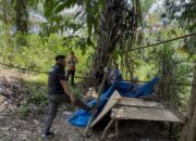 Polisi Obrak-abrik Sarang Narkoba di Dusun Bangun Rejo dan Kampung Pajak Labura  