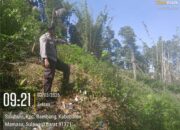 Bhabinkamtibmas Polsek Mambi Monitoring Lahan Persiapan Tanam Jagung di Desa Salubulo