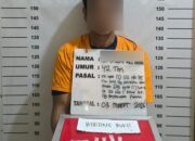 Tak Jera, Seorang Residivis Narkoba Ditangkap Tim dari Satres Narkoba Polres Labuhanbatu 