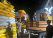 Personel Polsek Aralle Dampingi Pengiriman 3 Ton Jagung Petani ke Bulog Polewali Mandar