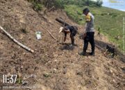 Bhabinkamtibmas Monitoring Lahan Jagung Warga di Dusun Leppan, Upaya Dukung Ketahanan Pangan