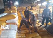 Personel Polsek Mambi Dampingi Pengiriman 11,2 Ton Jagung Petani ke Bulog Polman