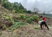 Bhabinkamtibmas Polsek Pana Monitoring Lahan Jagung Warga di Desa Ulusalu