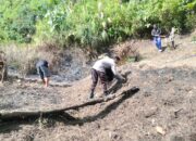 Bhabinkamtibmas Aralle Monitoring Lahan Jagung Warga di Dusun Kurasa untuk Dukung Ketahanan Pangan