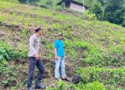 Bhabinkamtibmas Polsek Aralle Monitoring Lahan Jagung Warga di Mamasa, Panen Diperkirakan Juni 2026