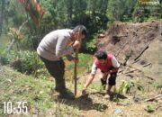 Bhabinkamtibmas Sumarorong Aktif Dampingi Petani, Lakukan Pemupukan Lahan Jagung di Desa Binaan
