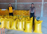 Pengawalan Ketat Polisi, 3,2 Ton Jagung Petani Messawa Tiba di Bulog Polewali Mandar