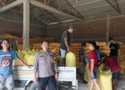 Personel Polsek Sumarorong Dampingi Pengiriman 1,4 Ton Jagung Petani ke Bulog Polewali Mandar