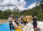 Dampingi Petani Panen, Bhabinkamtibmas Polsek Mambi Monitoring Penggilingan Jagung di Desa Saluahok