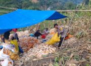 Bhabinkamtibmas Polsek Pana Kawal Aktivitas Jual Beli di Pasar Tradisional Desa Kalama