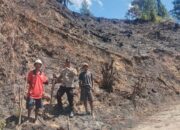 Polsek Mamasa Dampingi Awal Masa Tanam Jagung Warga Binaan di Desa Marampan Orobua