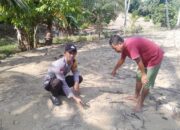 Dukung Ketahanan Pangan, Bhabinkamtibmas Polsek Pasangkayu Pantau Perkembangan Tanaman Jagung Warga
