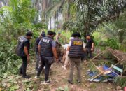 Operasi Sarang Narkoba di Gunung Selamat  Polres Labuhanbatu & BNNK Labura Ringkus 1 Pelaku 