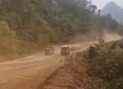 Warga Matarape Siapkan Aksi, Soroti Dampak Jalan Hauling PT ASKON